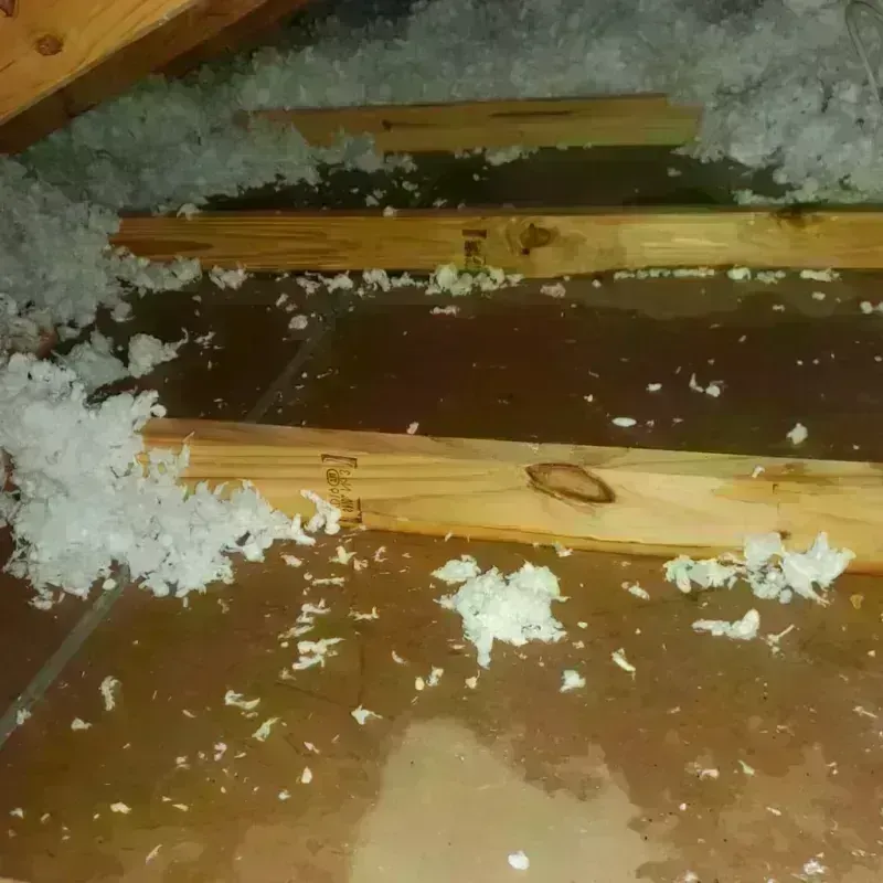 Attic Water Damage in Greene County, IL