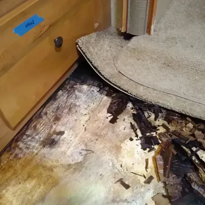 Wood Floor Water Damage in Greene County, IL